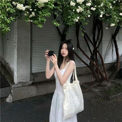 蠢狗记